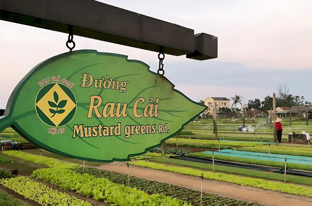 Visiting Tra Que Vegetable Village is remarkably affordable at only 35,000 VND per person per day